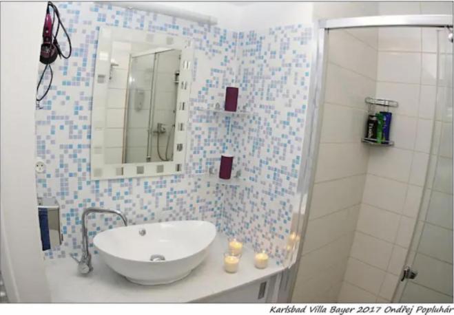 Apartman Vila Bayer Karlovy Vary Bagian luar foto