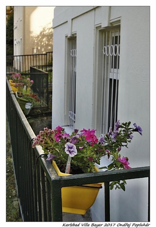 Apartman Vila Bayer Karlovy Vary Bagian luar foto