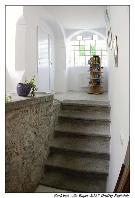Apartman Vila Bayer Karlovy Vary Bagian luar foto