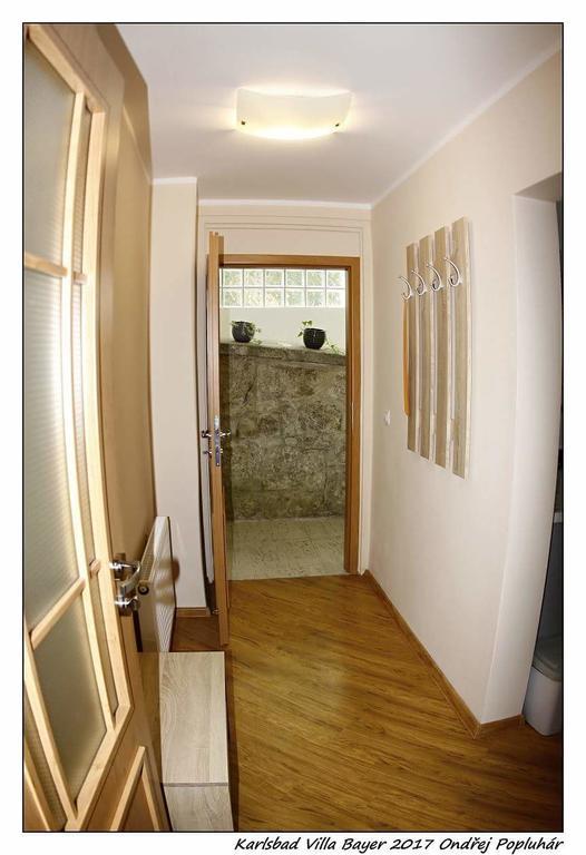 Apartman Vila Bayer Karlovy Vary Bagian luar foto