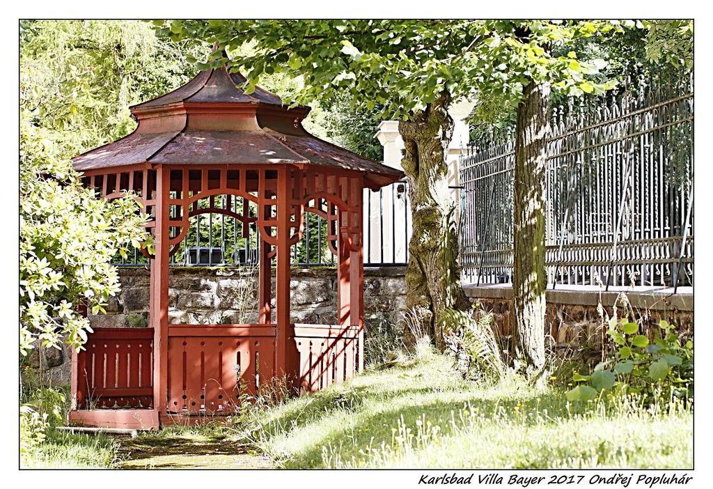 Apartman Vila Bayer Karlovy Vary Bagian luar foto