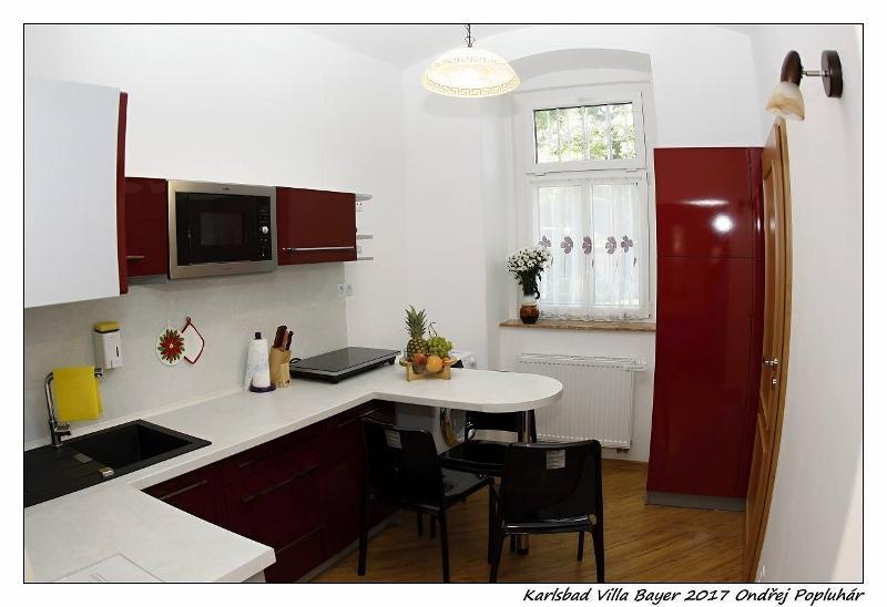 Apartman Vila Bayer Karlovy Vary Bagian luar foto